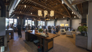 unity-flora-panoramic